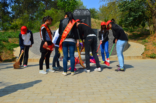 公司开展景明墓祭扫活动