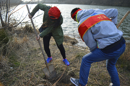 公司开展义务植树活动