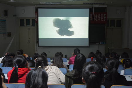 公司开展经典影片观摩活动