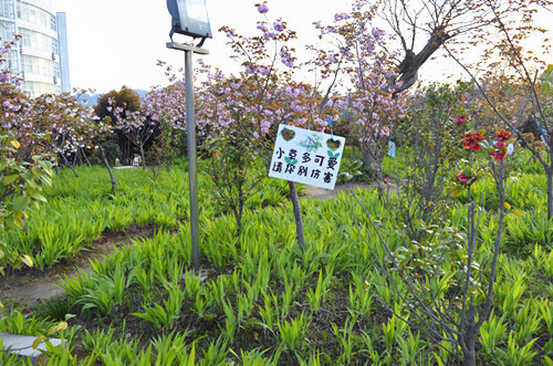 公司举办挂树牌活动